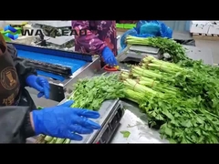 স্ন্যাক বিস্কুট বালিশ প্যাকিং মেশিন স্বয়ংক্রিয় মিষ্টান্ন প্যাকেজিং সরঞ্জাম