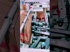 স্বয়ংক্রিয় বোতল কার্টন প্যাকিং মেশিন 0.2KW পাওয়ার কার্টন ওপেনিং মেশিন