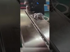 স্বয়ংক্রিয় এইচএফএস অনুভূমিক প্রবাহ প্যাকেজিং মেশিন বাণিজ্যিক পপ আইসক্রিম প্যাকিং মেশিন WZ-220