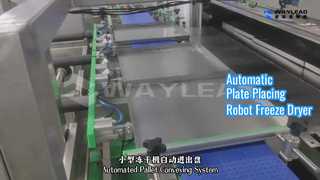 স্বয়ংক্রিয় প্লেট স্থাপন রোবট ফ্রিজ ড্রায়ার