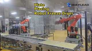 স্বয়ংক্রিয় প্লেট স্থাপন রোবট ফ্রিজ ড্রায়ার প্যাকেজিং মেশিন