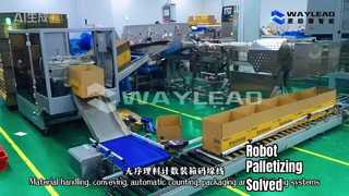 ম্যাটেরিয়াল হ্যান্ডলিং, কনভেয়িং, স্বয়ংক্রিয় গণনা, প্যাকেজিং এবং প্যালেটাইজিং সিস্টেম